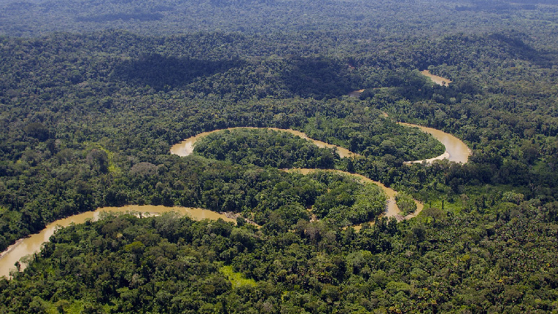 Ecuador Alberga Millones De Hect Reas De Bosques Ecuador Noti