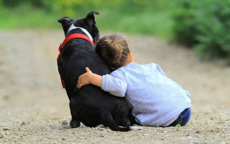 Crecer en contacto con animales reduce el riesgo de padecer alergias