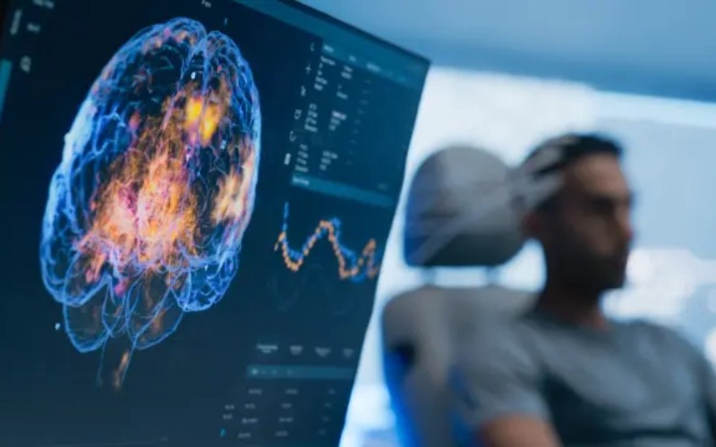 Identifican la proteína que permite al cerebro retener información a corto plazo