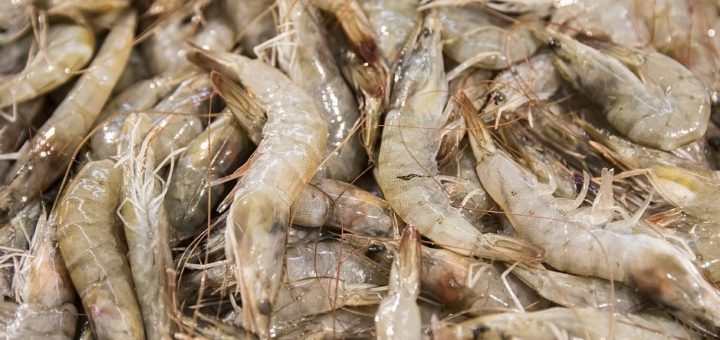 fotografía tomada de ecuavisa