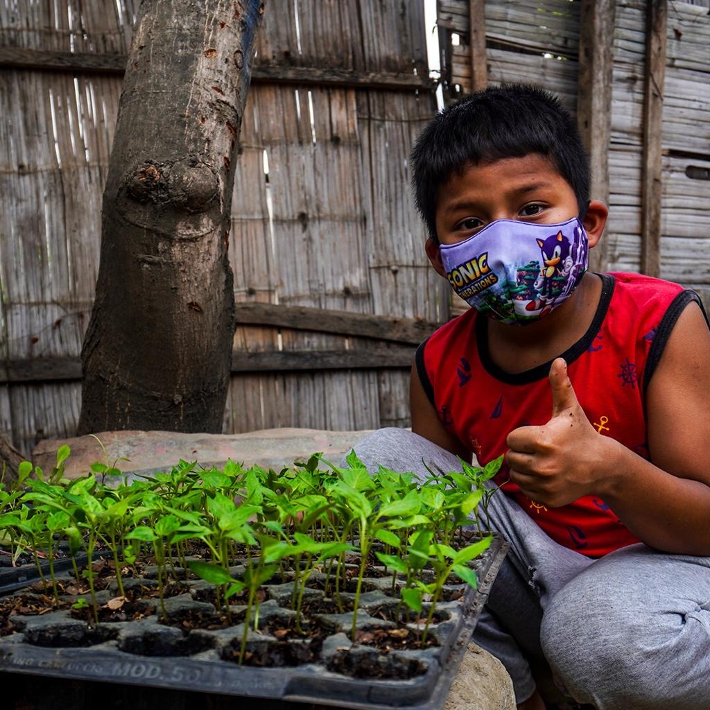 Huertos Caseros Es La Iniciativa Que Impulsa El Municipio De Guayaquil Ecuador Noti 6650