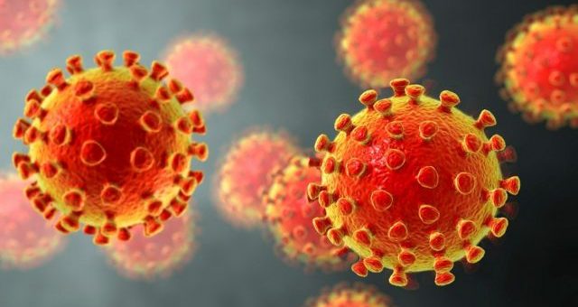 imagen tomada de internet