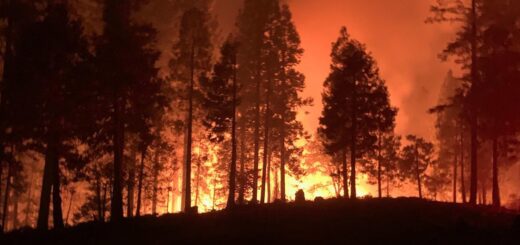 Los bomberos de California y otras partes de la costa oeste de Estados Unidos luchan por contener los incendios forestales. (Archivo)