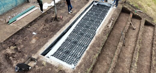 El sistema permite captar, almacenar y reutilizar el agua de lluvia para el riego de especies vegetales y promueve la creación de espacios urbanos más resilientes.