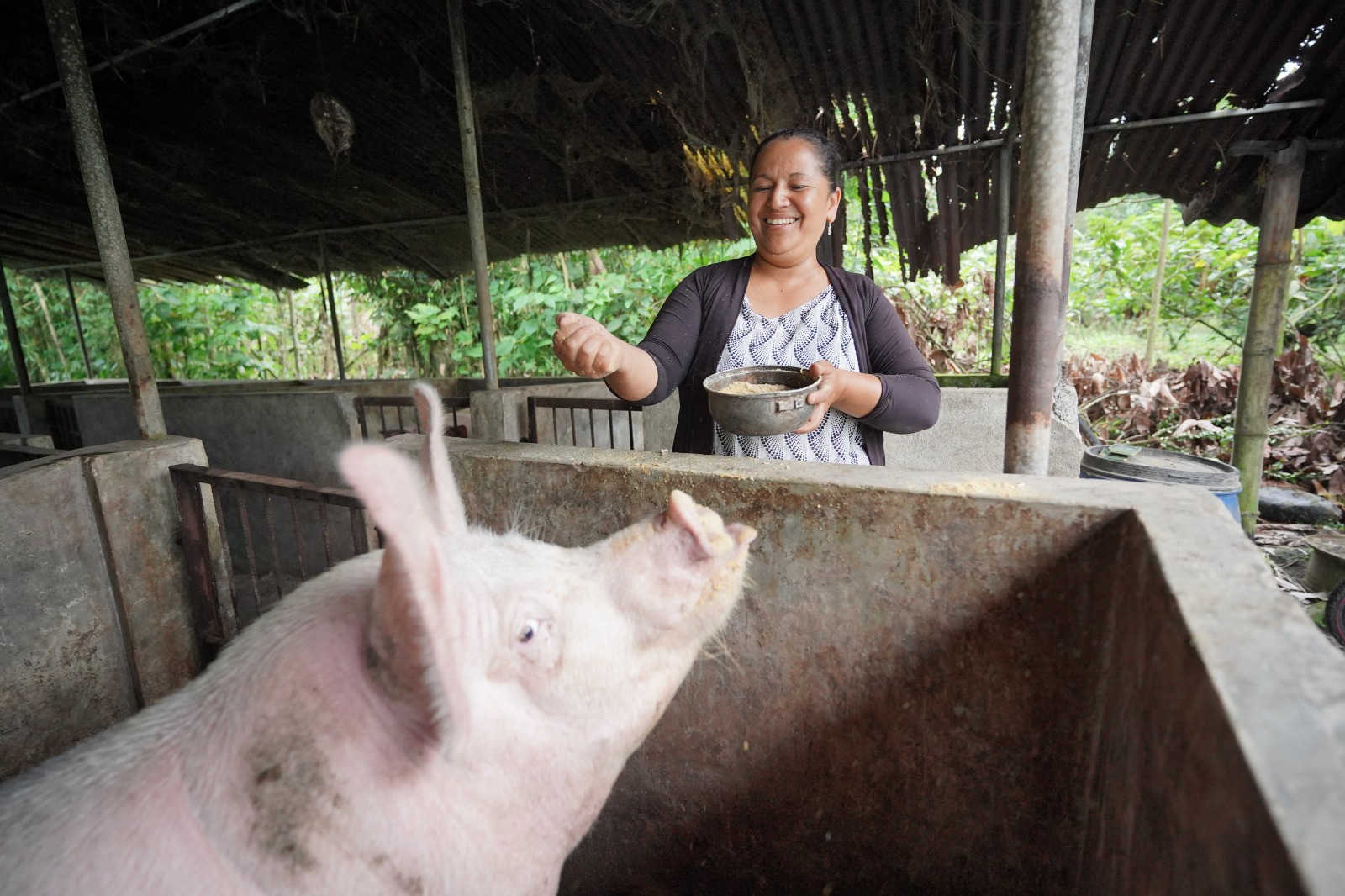 BanEcuador fortalece a pequeños productores con Crédito 7X7