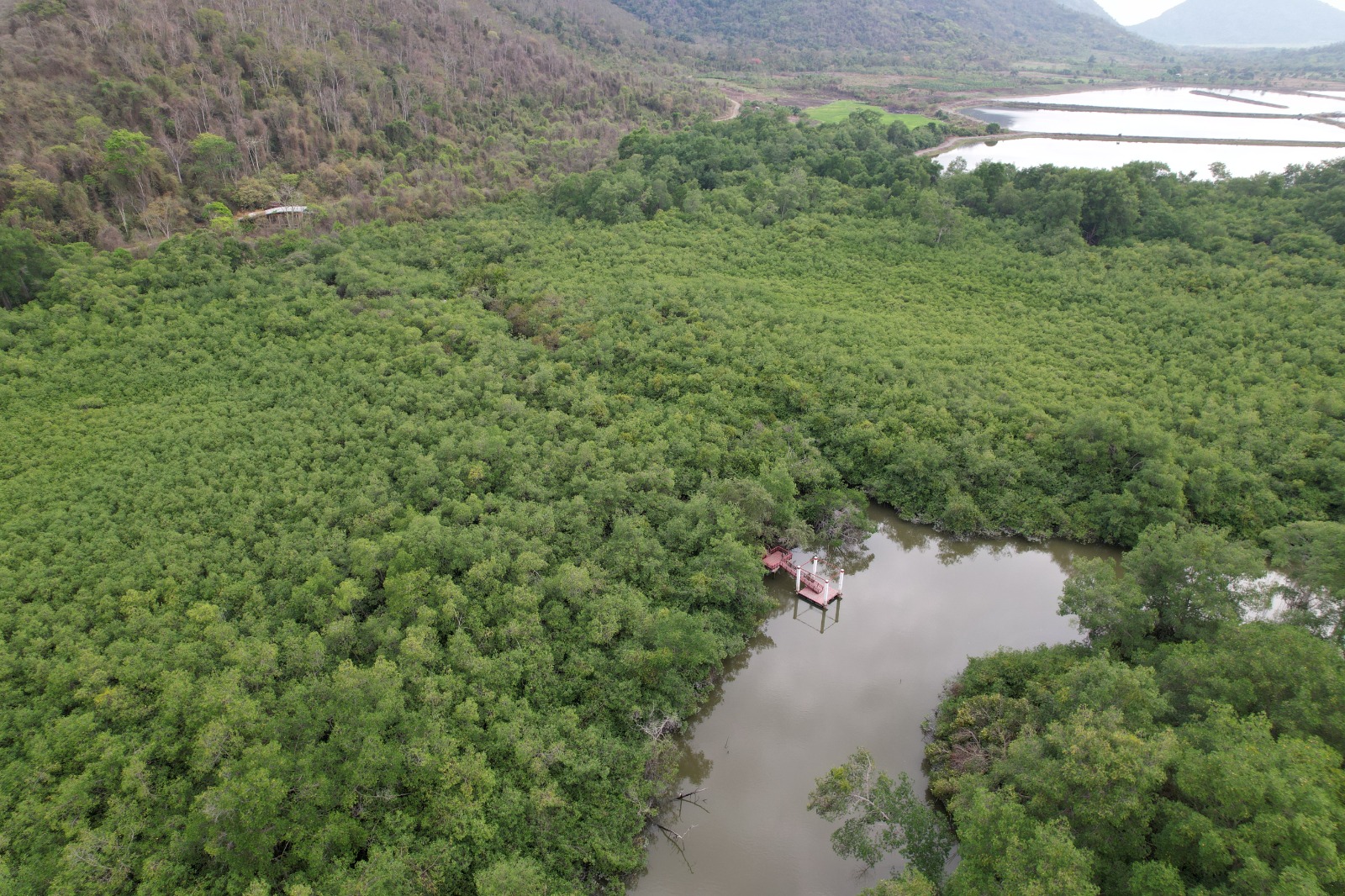 Ecuador incluirá cinco áreas naturales en ruta hacia la declaratoria de Patrimonio Mundial de la UNESCO