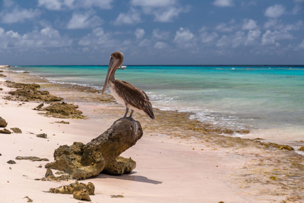 Islas Galápagos 2