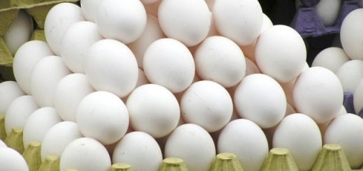Precio de los huevos en Honduras