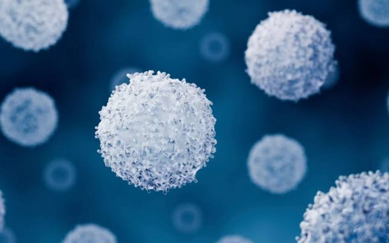 México inicia evaluación clínica de la primera terapia con células CAR-T contra la leucemia