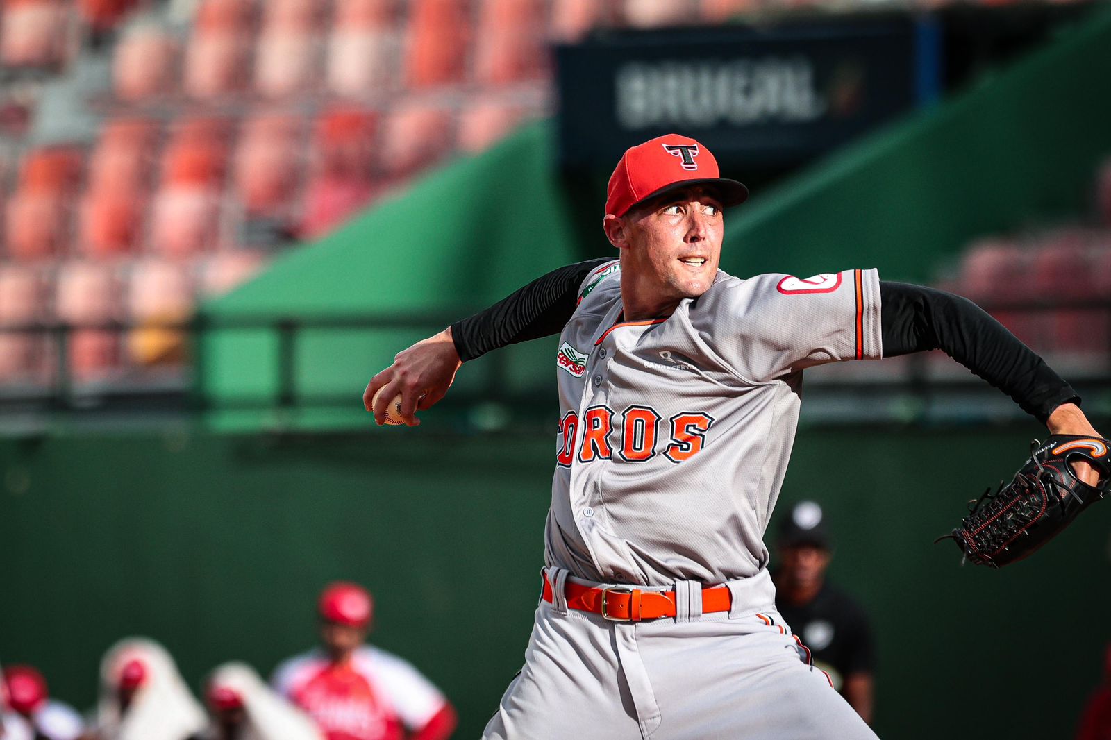 Aaron Sánchez gana el premio Lanzador del Año en LIDOM