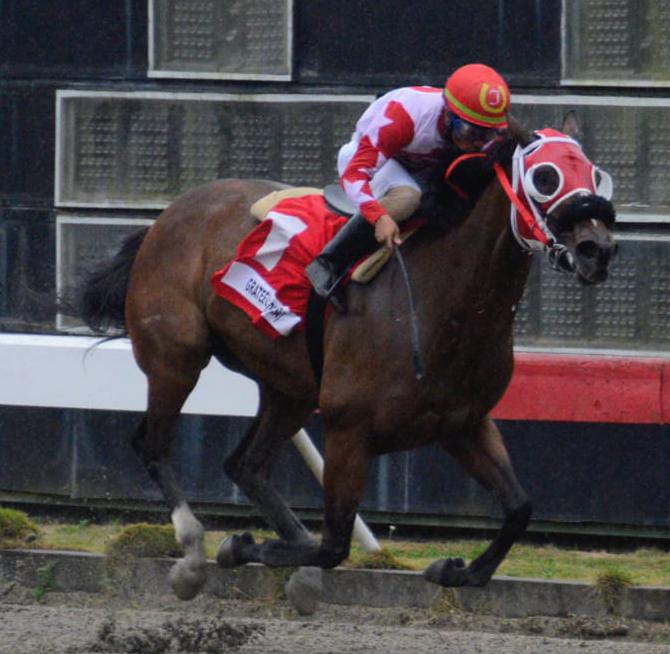 Grateful Lady conquista el Clásico Día Internacional de la Mujer