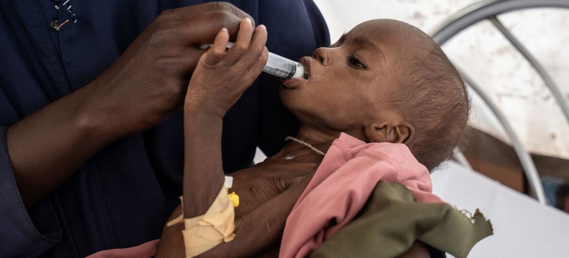 El hambre en el mundo se concentra en solo diez países: ONU