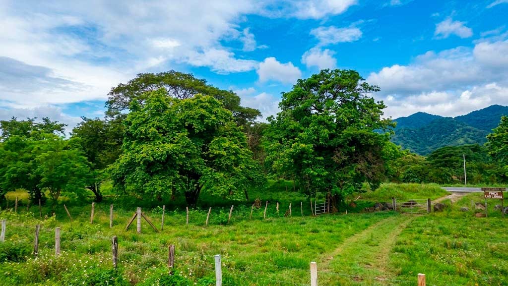 Adoptar la tecnología para generar riqueza agrícola plantea la Sociedad de Agrónomos