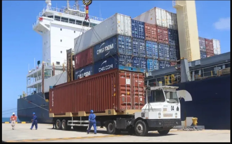 Exportan desde Nueva Esparta 164 toneladas de algas y productos marinos a mercado internacional