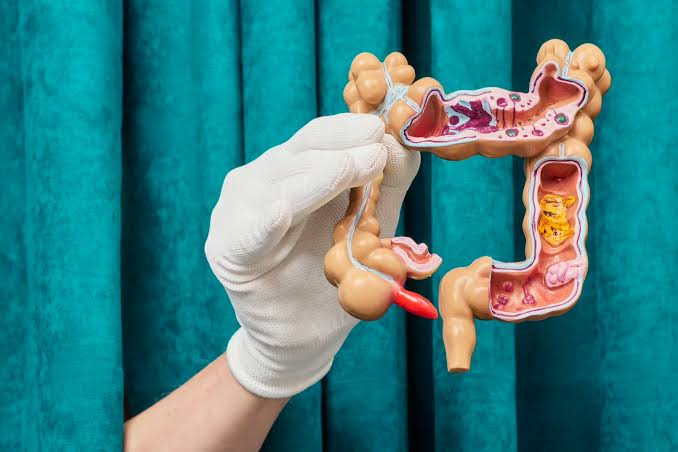 Bacterias del intestino previas a la inmunización explican por qué unas personas sufrên más efectos secundarios que otras
