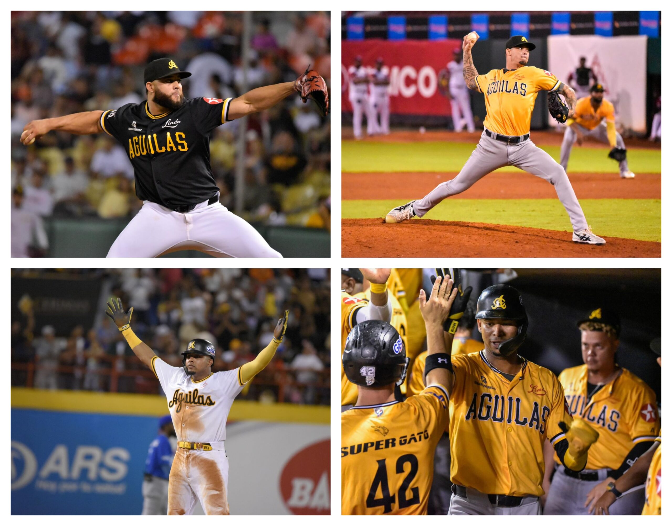 Águilas aseguran continuidad de Fernández, Mejía, González y Reyes