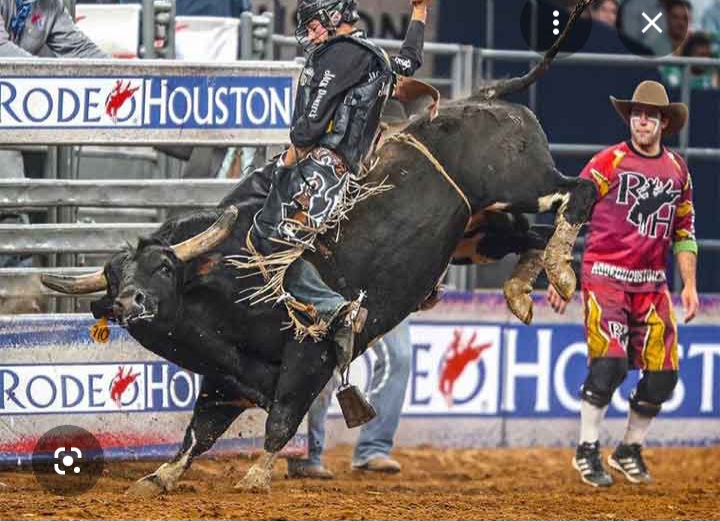 Houston Rodeo Clipping En un mes iniciará Rodeo de Houston - Texas | Noti-America.com