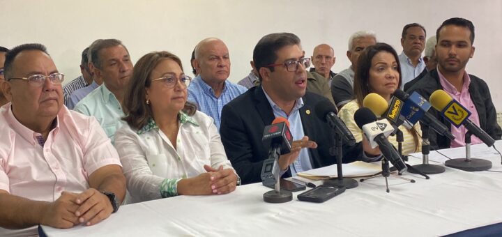 AD acordó activar su maquinaria política