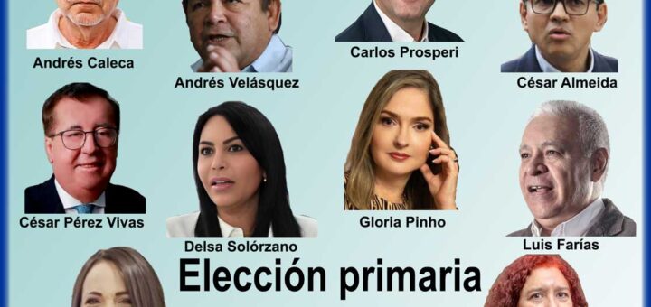 Elecciones primarias 2023