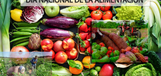 Día Nacional de la Alimentación