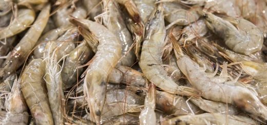 fotografía tomada de ecuavisa