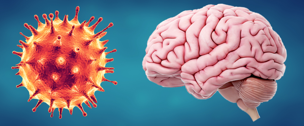 Infecciones-virales-como-el-COVID-19-y-sus-efectos-en-el-cerebro