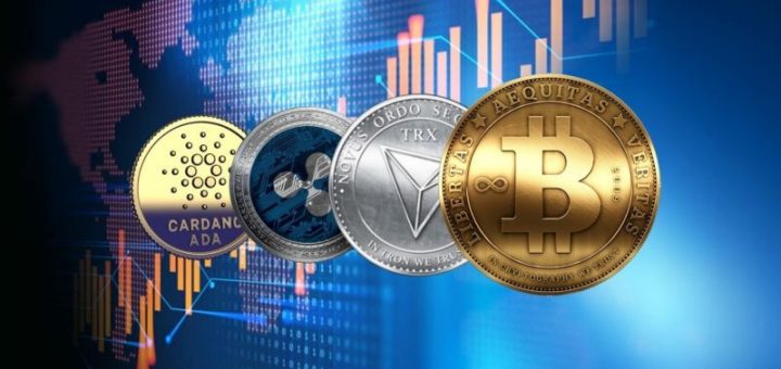 imagen tomada de internet