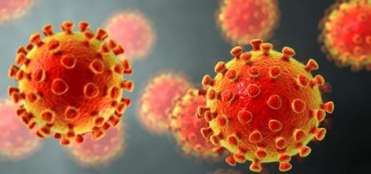 imagen tomada de internet